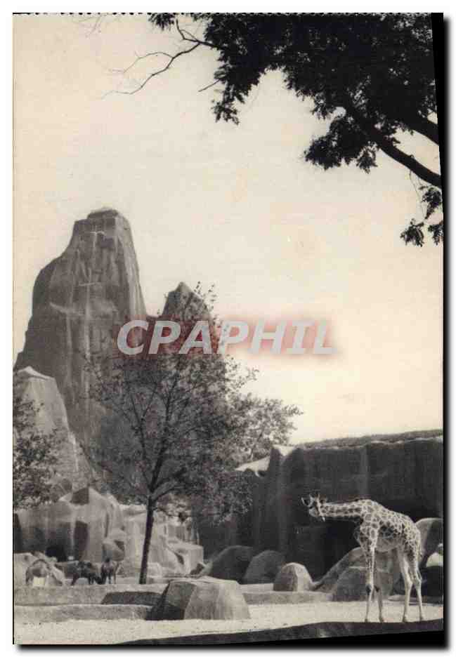 CPA Vincennes Zoo Le parc des girafes Le grand rocher 