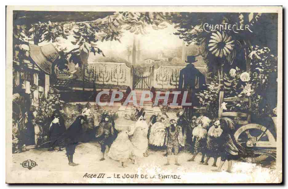 CPA Edmond Rostand Chantecler Le jour de la pintade