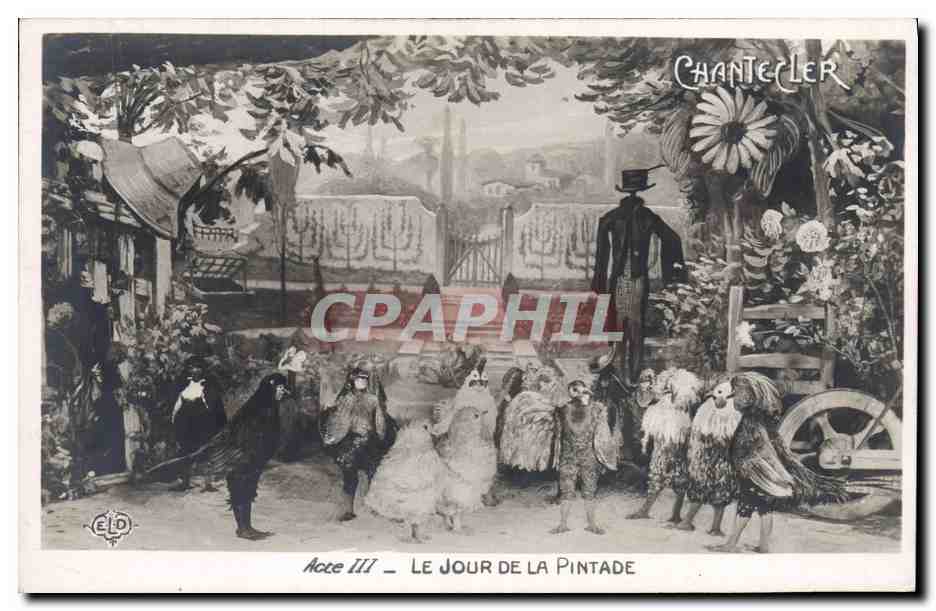 CPA Edmond Rostand Chantecler Le jour de la pintade