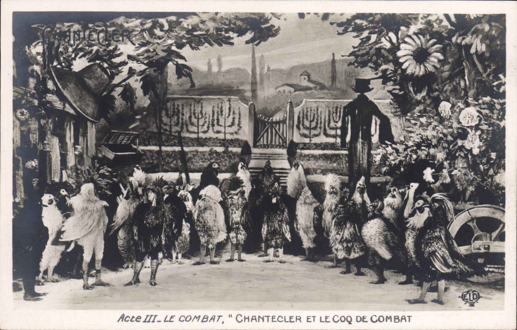 CPA Edmond Rostand Chantecler et le coq de combat