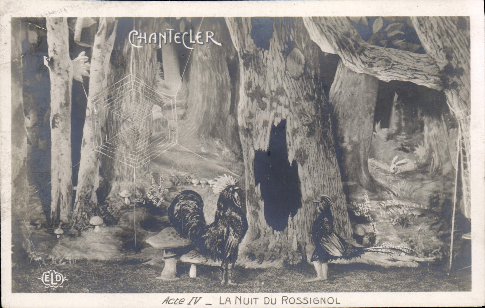 CPA Edmond Rostand Chantecler La nuit du rossignol Champignon 