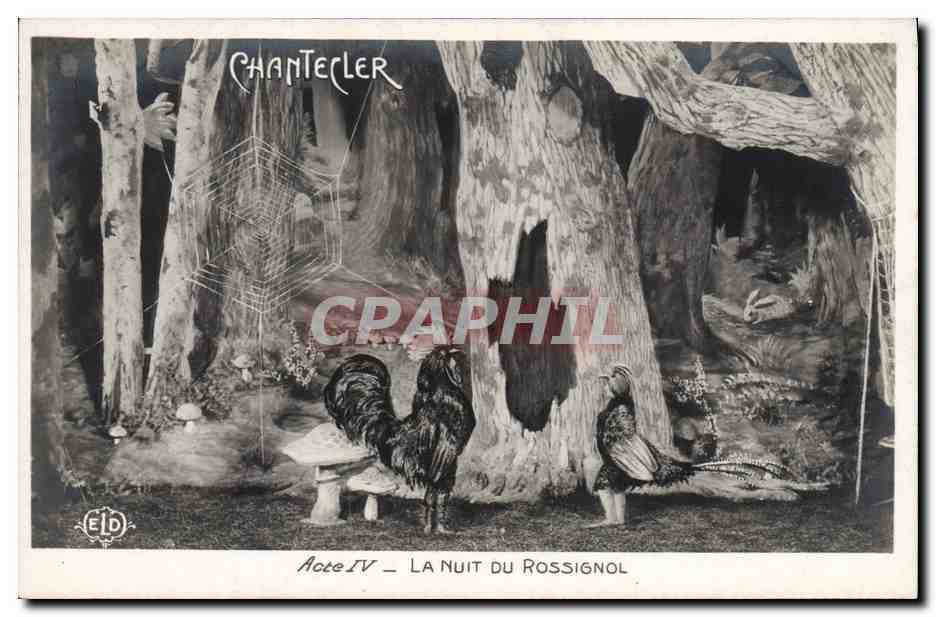 CPA Edmond Rostand Chantecler La nuit du rossignol