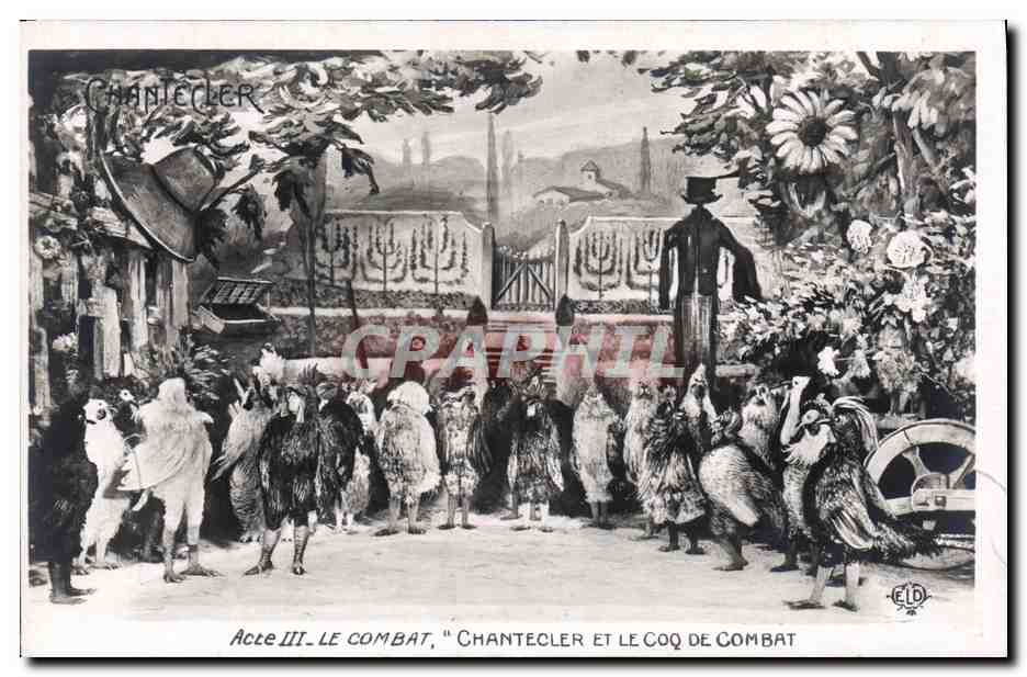 CPA Edmond Rostand Chantecler et le coq de combat
