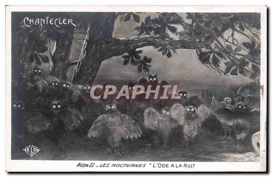 CPA Edmond Rostand Chantecler Les nocturnes L'ode a la nuit Chouette Hibou