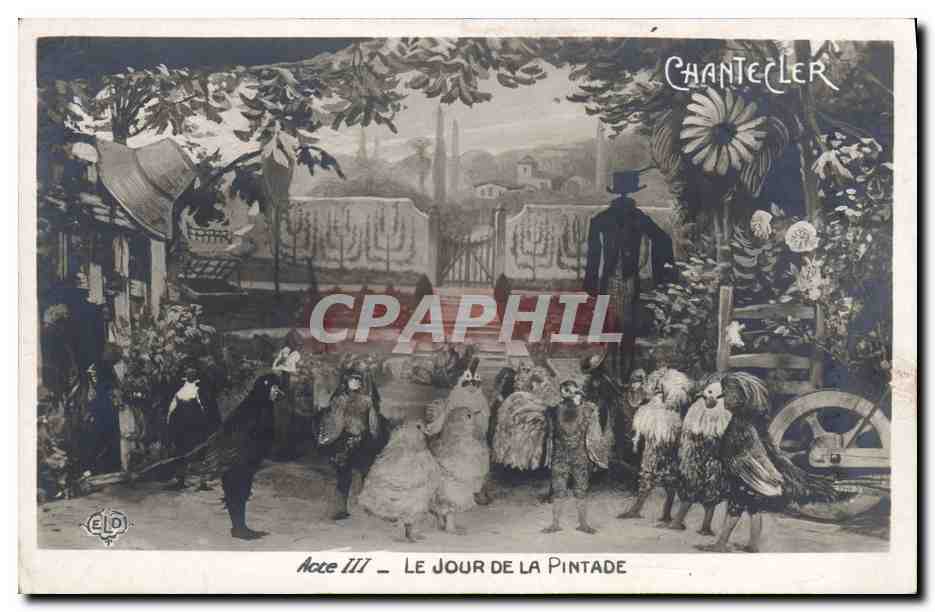 CPA Edmond Rostand Chantecler Le jour de la pintade
