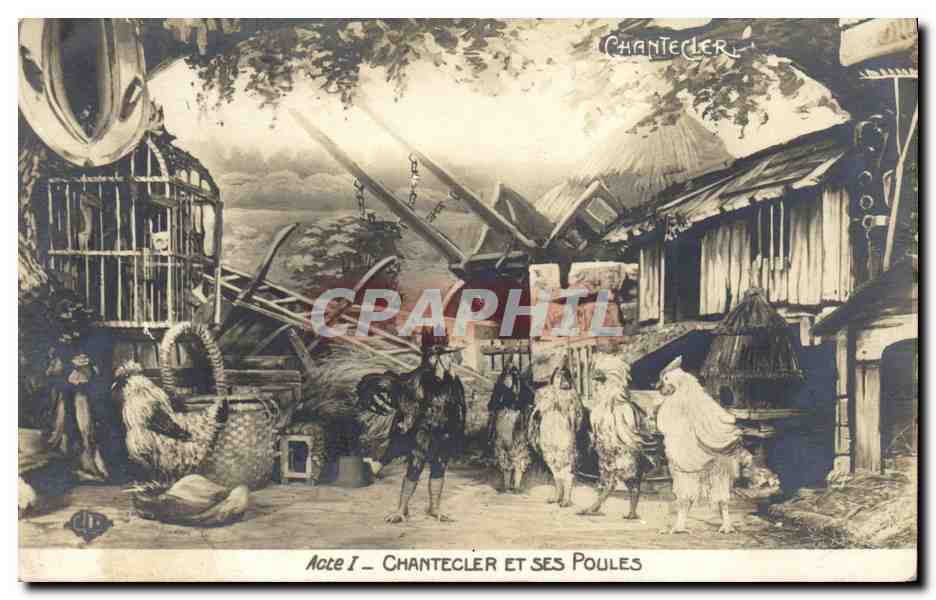 CPA Edmond Rostand Chantecler et ses poules