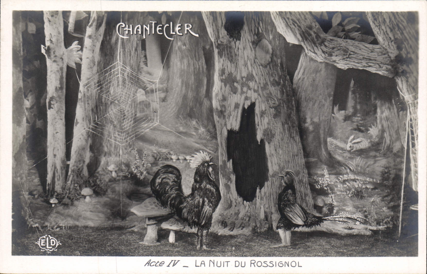 CPA Edmond Rostand Chantecler La nuit du rossignol Champignon