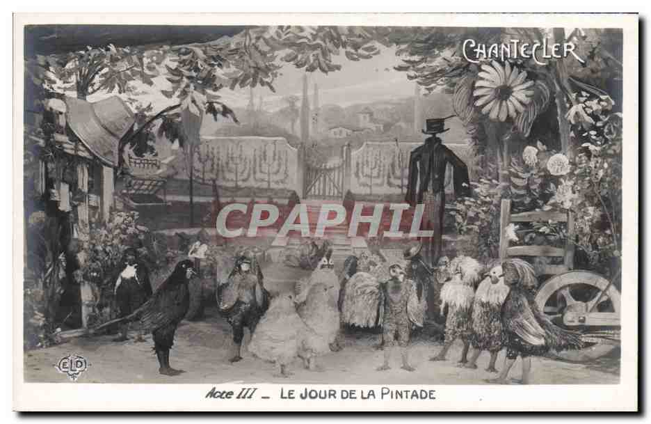 CPA Edmond Rostand Chantecler Le jour de la pintade