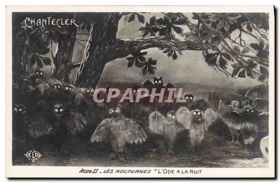 CPA Edmond Rostand Chantecler Les nocturnes L'ode a la nuit Hubou Chouette