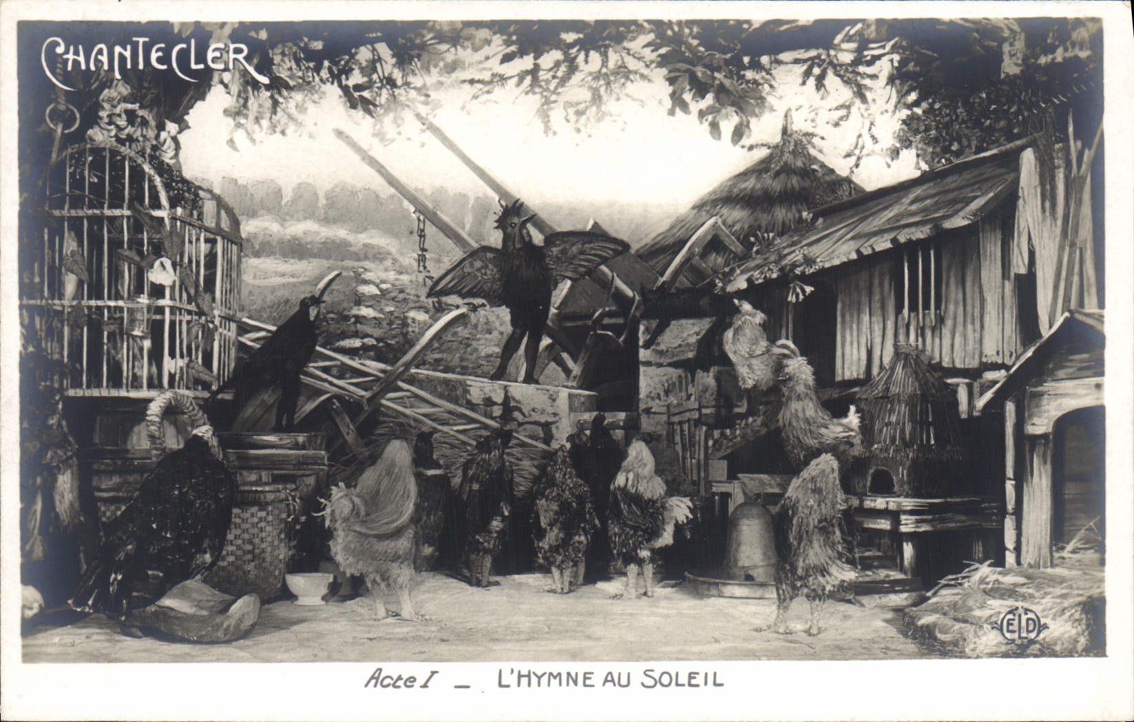 CPA Edmond Rostand Chantecler L'hymne au soleil