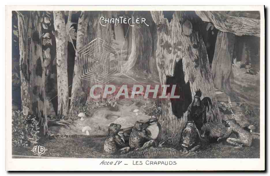 CPA Edmond Rostand Chantecler Les crapauds Grenouille