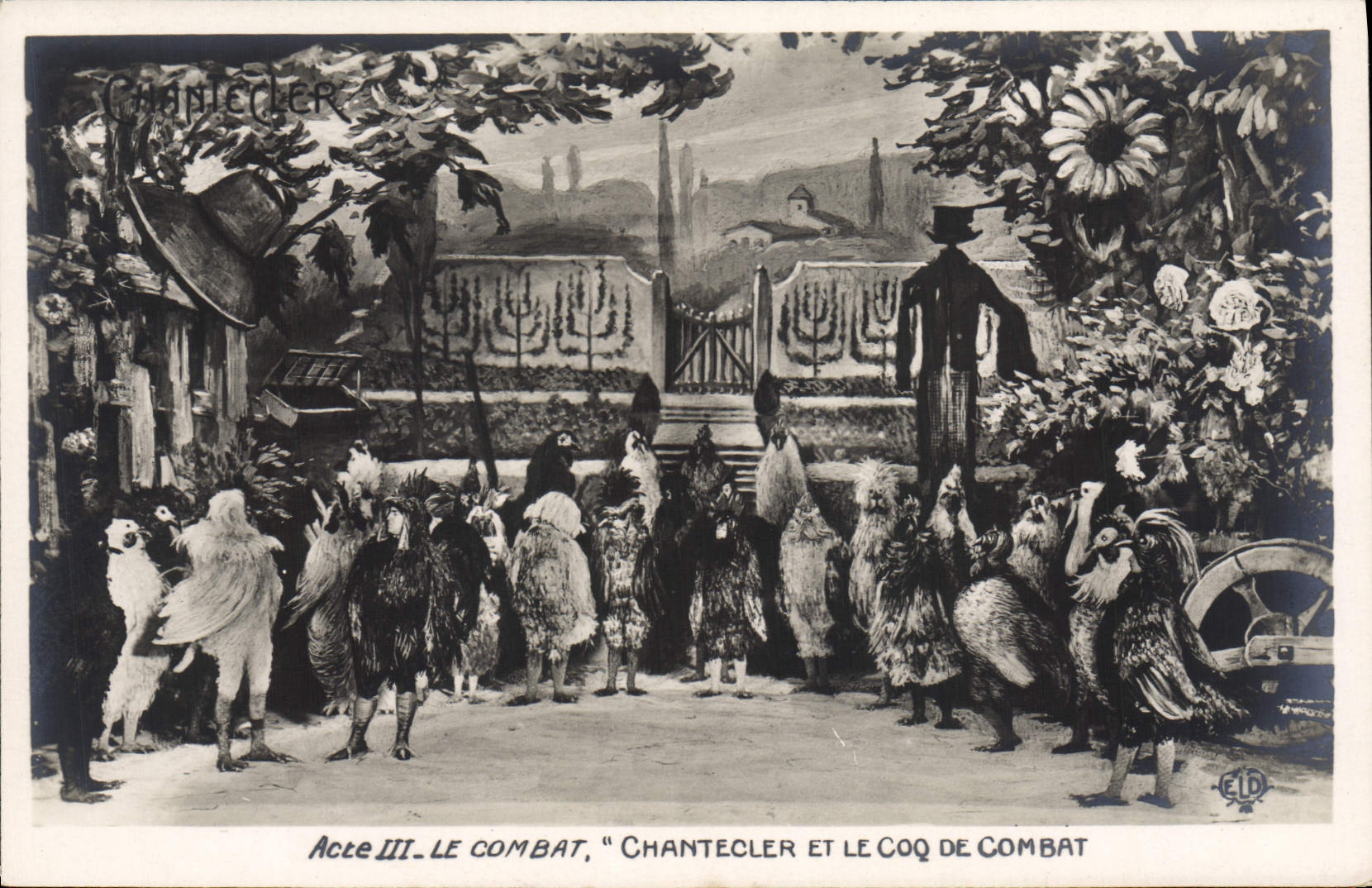 CPA Edmond Rostand Chantecler et le coq de combat