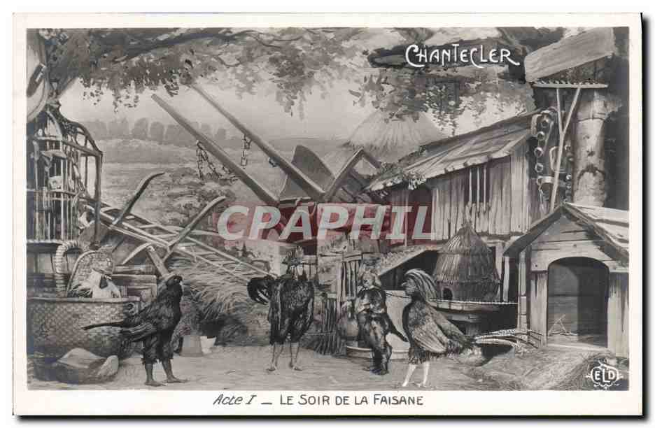 CPA Edmond Rostand Chantecler Le soir de la faisane