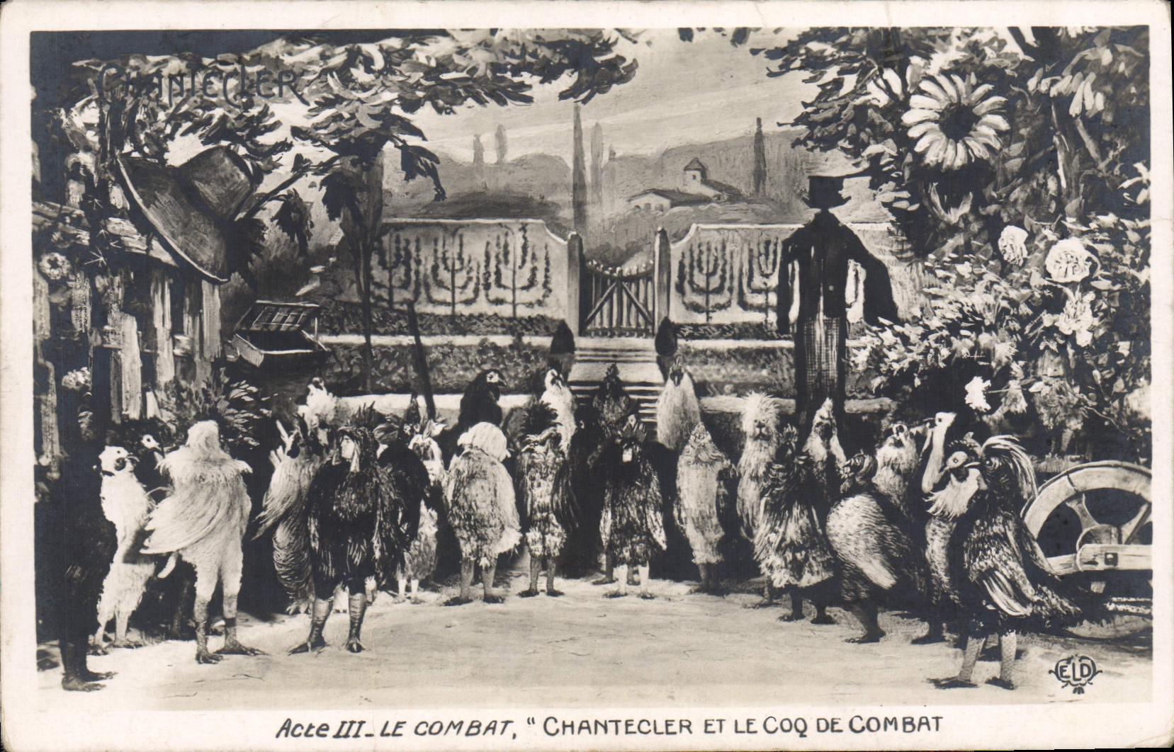 CPA Edmond Rostand Chantecler et le coq de combat 