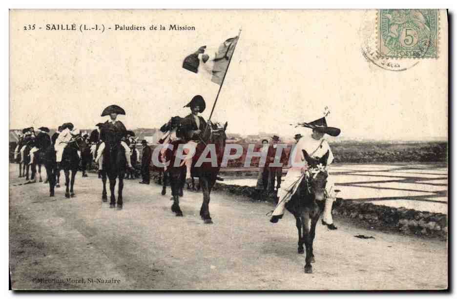 CPA Folklore Marais Salants Saille Paludiers de la mission Ane Mule