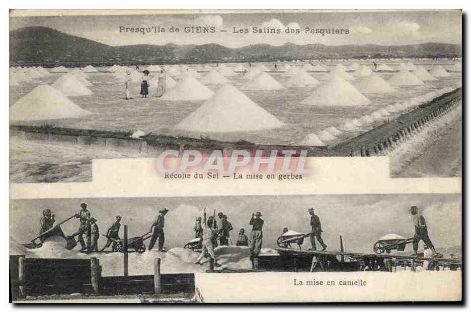 CPA Folklore Marais Salants Presqu'ile de Giens Les salins des Pesquiers La mise en gerbes La mise en camelle
