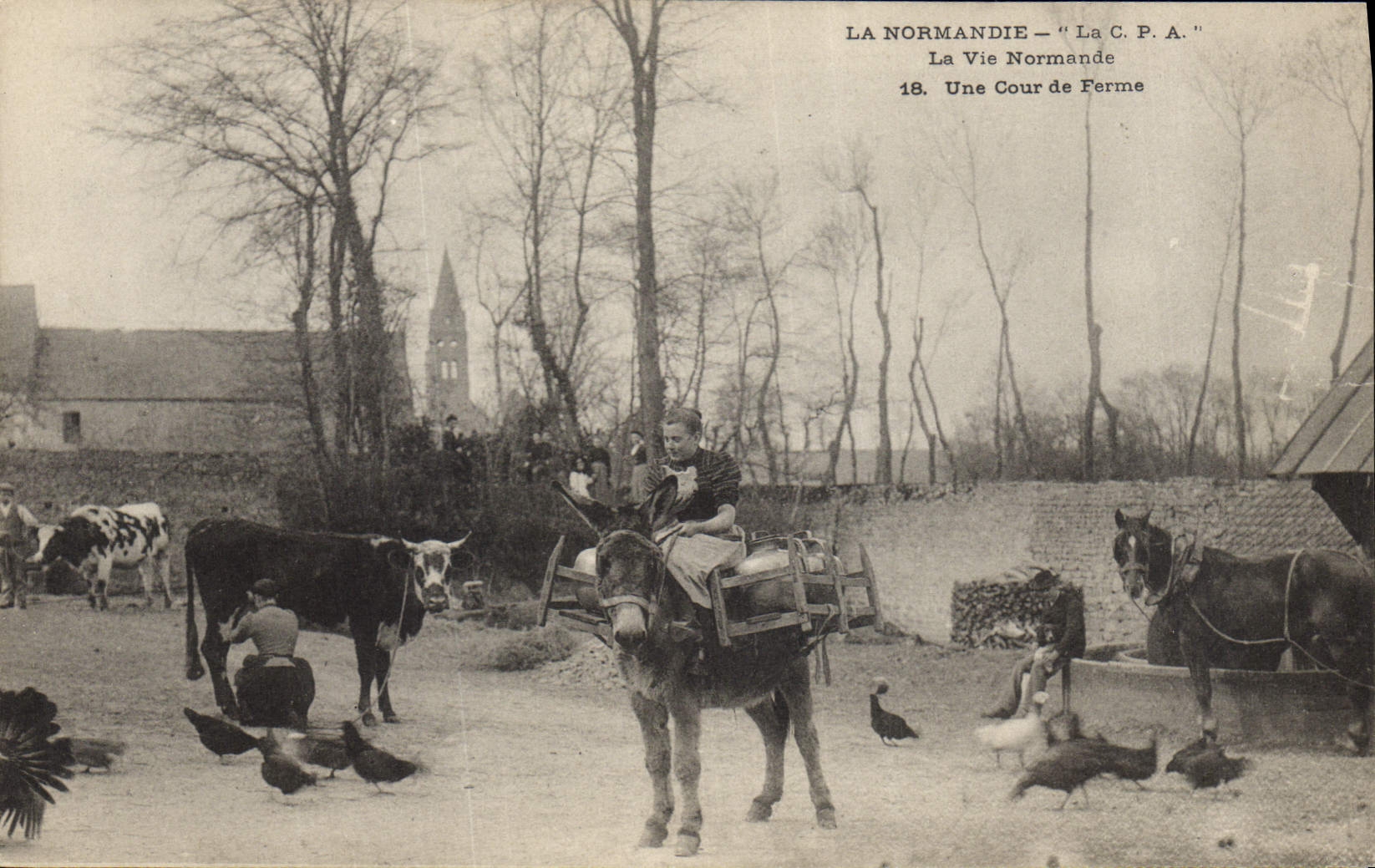 CPA Folklore Normandie Une cour de erme Ane Mule Vache Cheval
