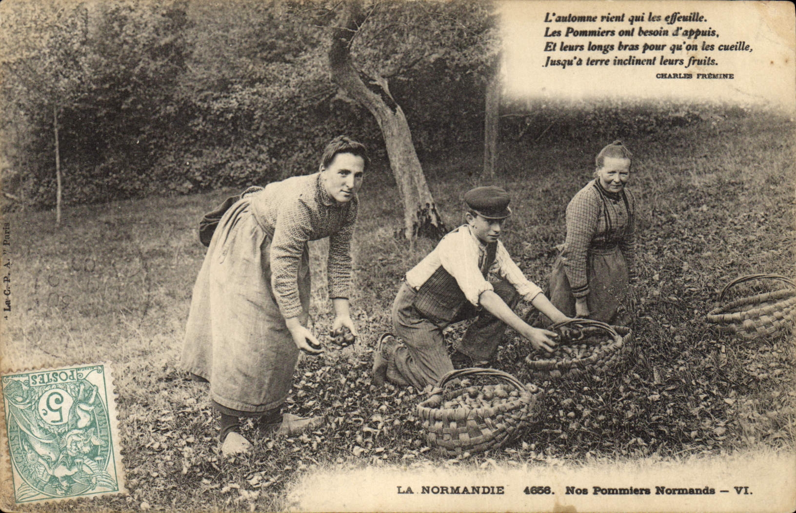 CPA Folklore Normandie Nos pommiers Normands