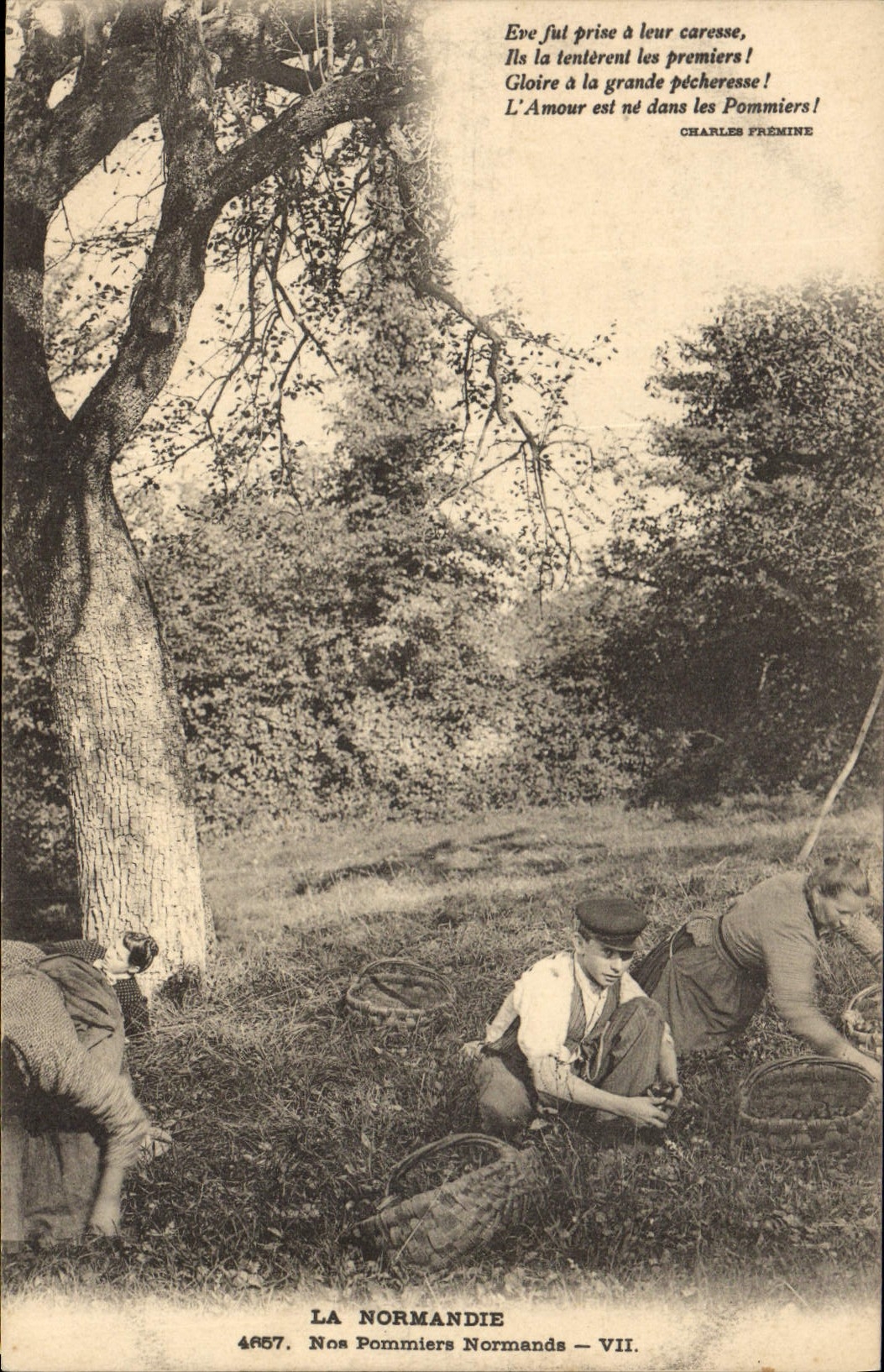 CPA Folklore Normandie Nos pommiers Normands 