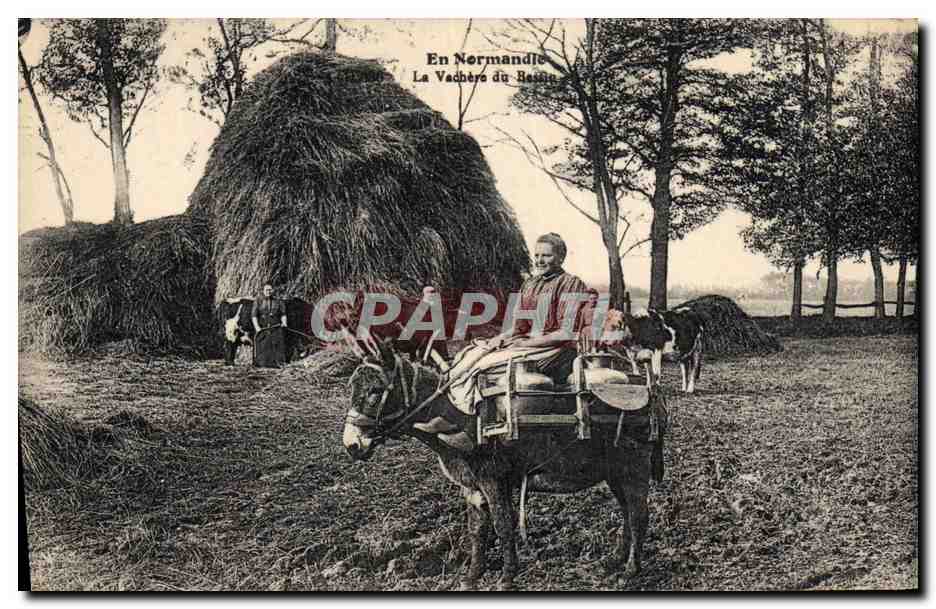 CPA Folklore Normandie La vachere du Bessin Ane Mule Vache