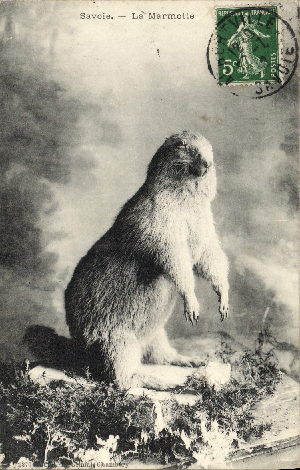 CPA Savoie La marmotte