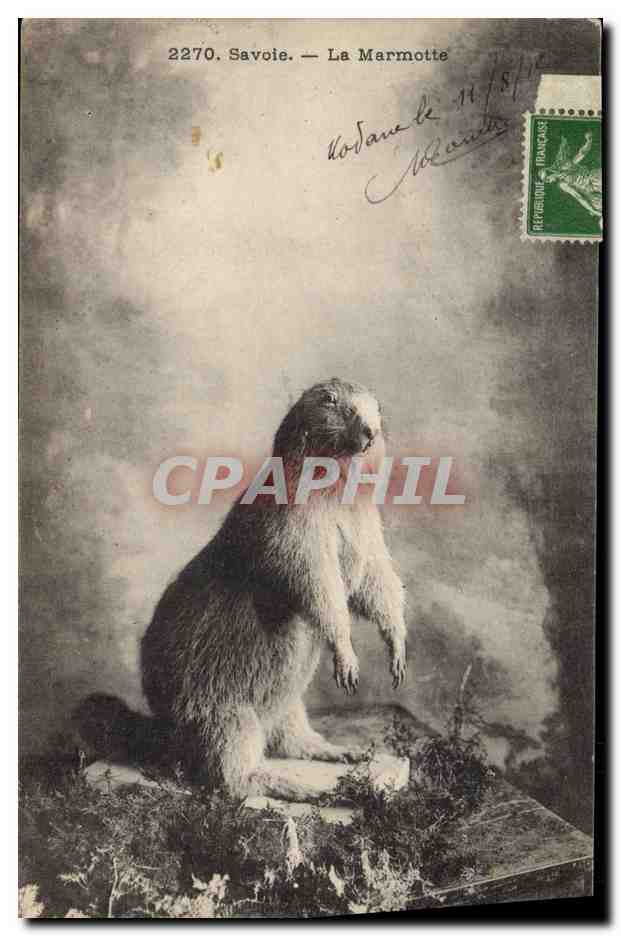 CPA Savoie La Marmotte