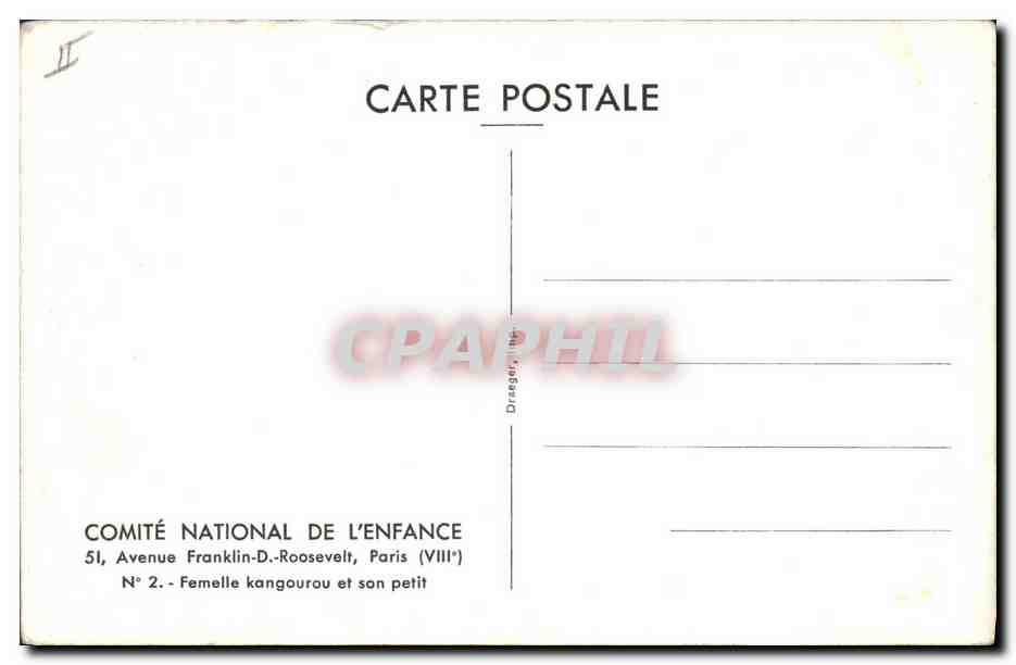 CPA Femelle kangourou et son petit  — Rückseite