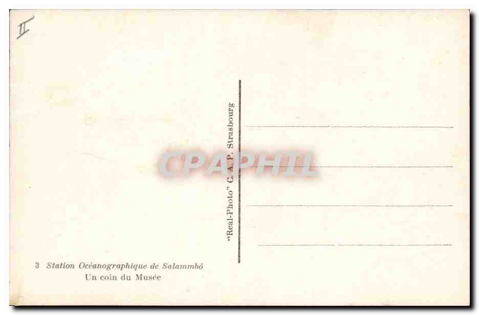 CPA Station oceanographique de Salammbo Un coin du musee — Rückseite