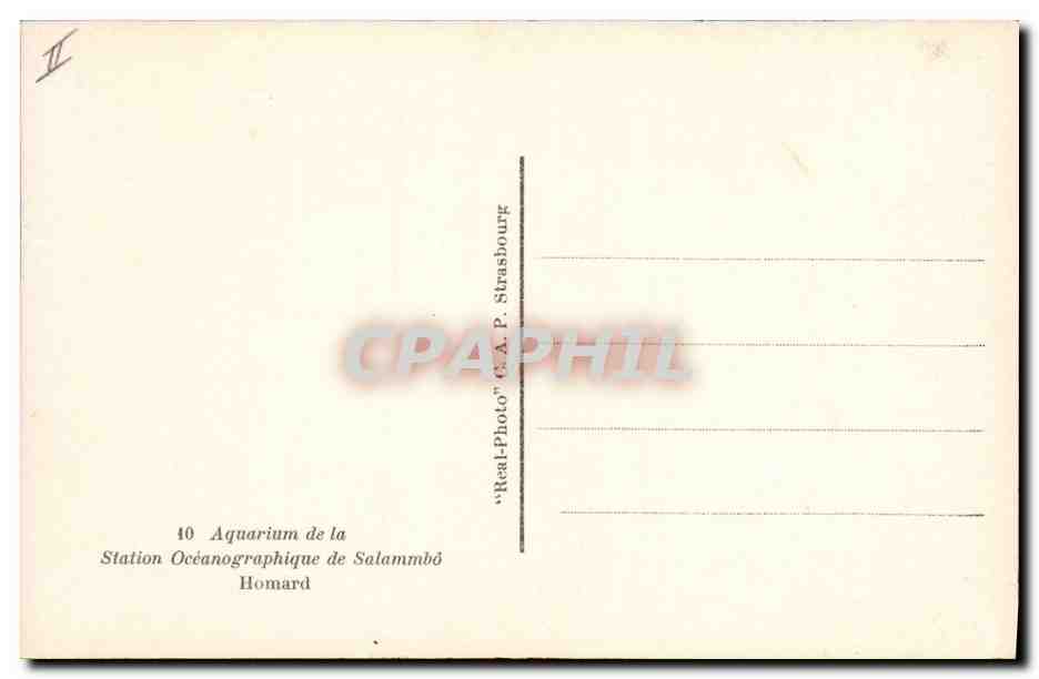 CPA Station oceanographique de Salammbo Homard  — Rückseite