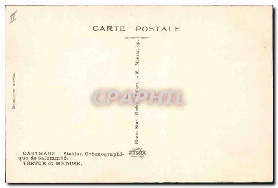 CPA Carthage Station oceanographique de Salammbo Tortue et meduse — Back