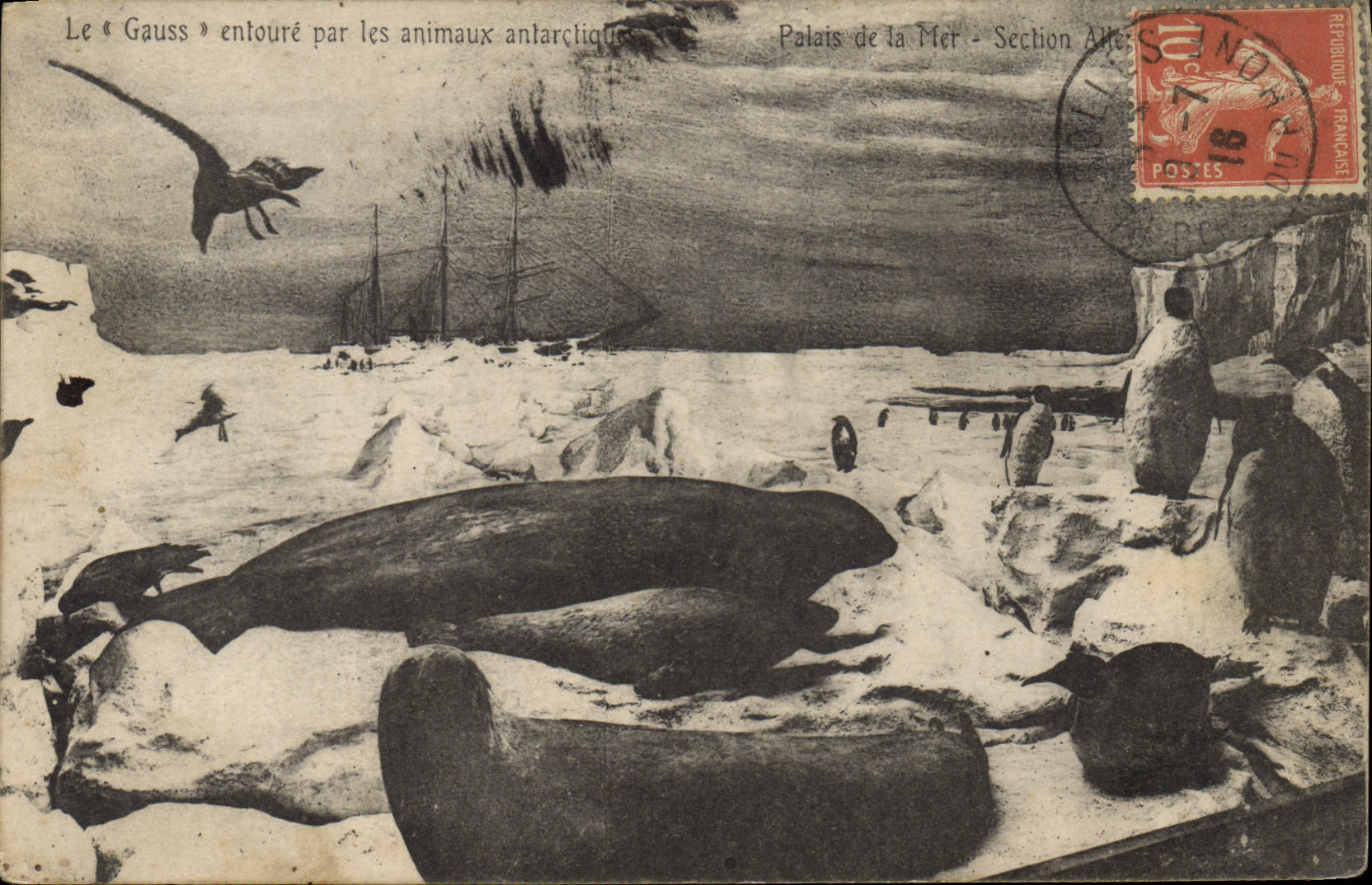 Le « Gauss » entouré par les animaux antarctiques — Palais de la Mer - Section Alte — éditeur non identifié