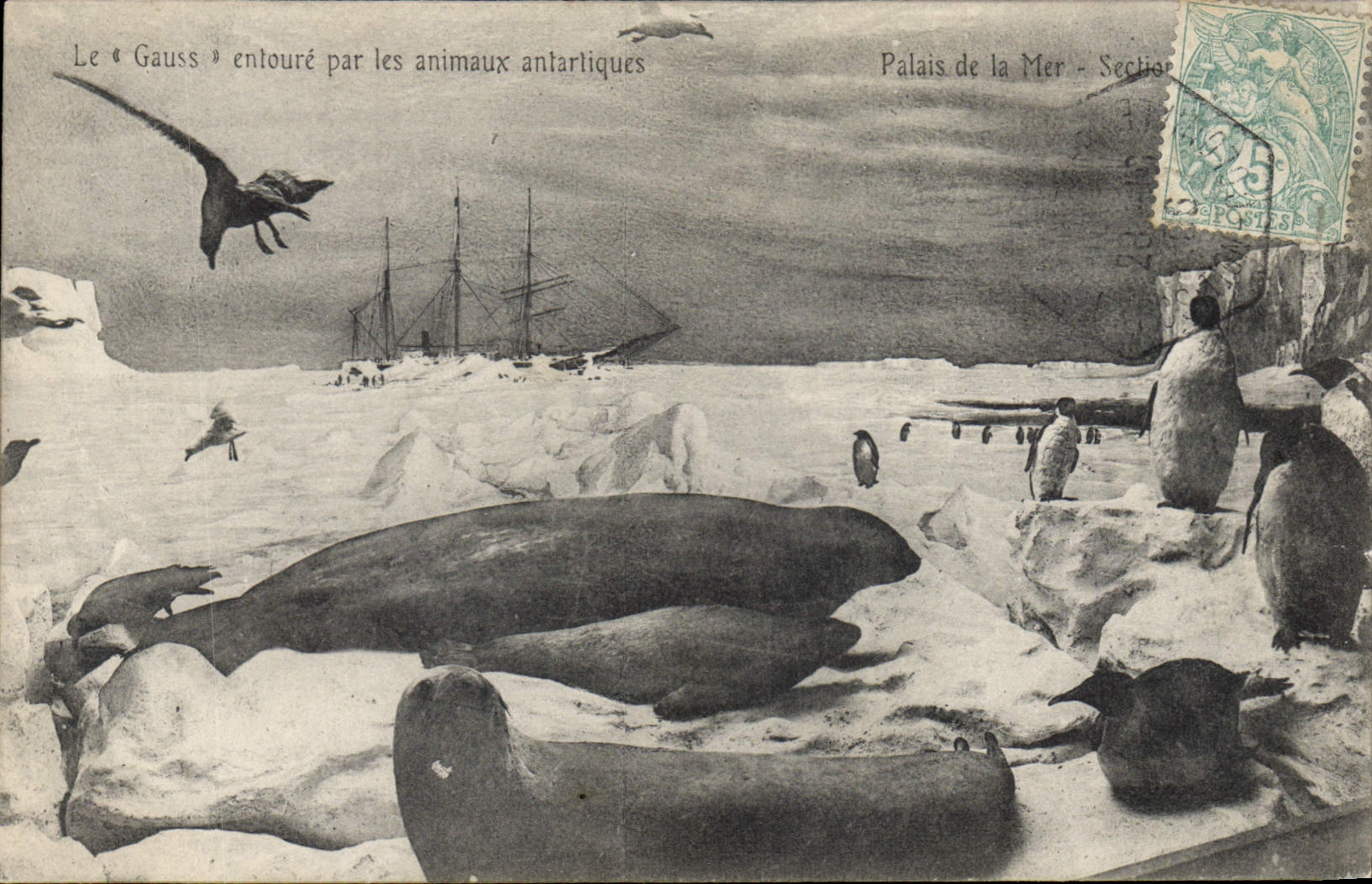 Le « Gauss » entouré par les animaux antarctiques — Palais de la Mer - Section — éditeur non visible