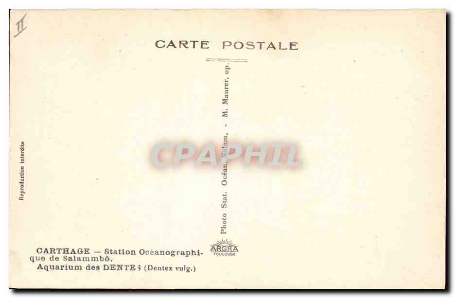 CPA Station oceanographique de Salammbo Aquarium des Dentes  — Rückseite