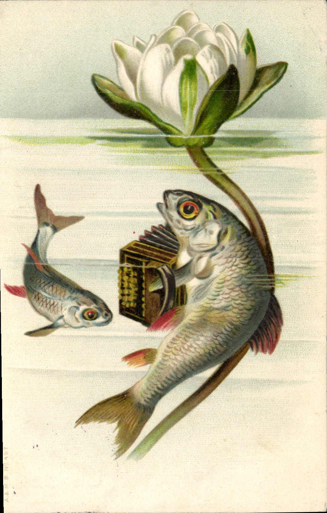 Poissons et fleur de nénuphar — illustration humoristique — éditeur non visible
