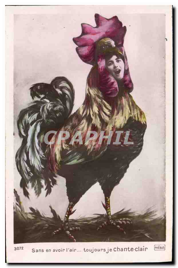 CPA Theatre Rostand Coq Chantecler 