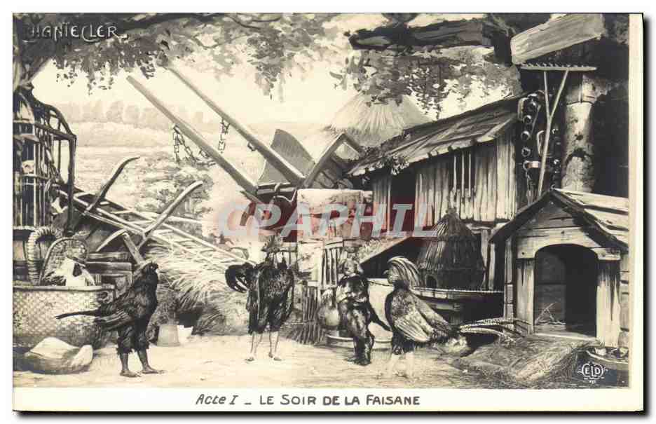 CPA Theatre Rostand Coq Chantecler Le soir de la faisane
