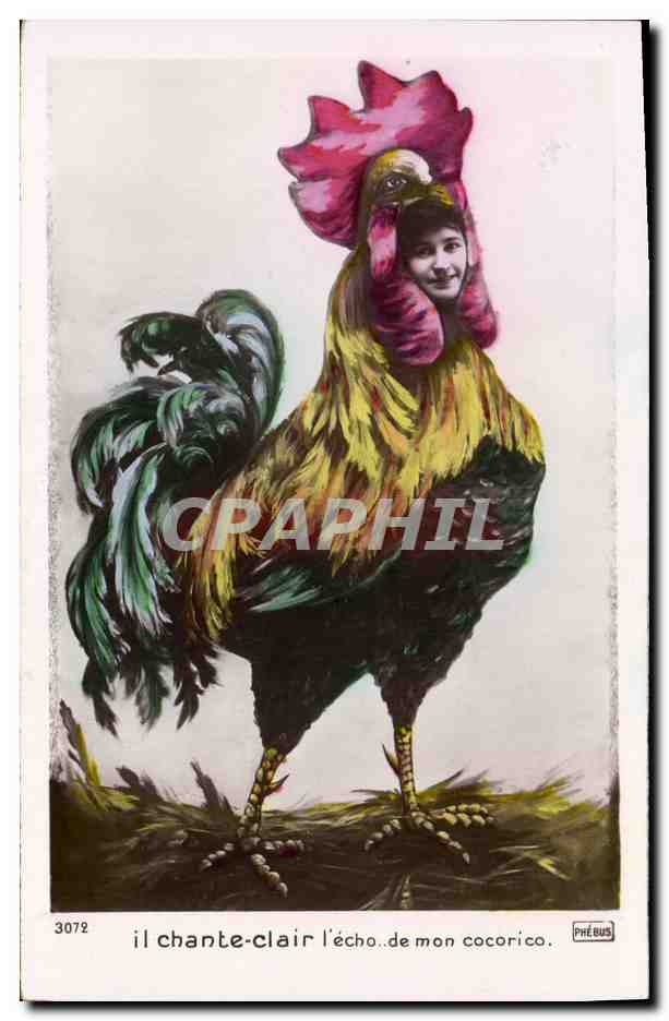 Coq chantant — jeune femme en costume de coq — Phébus n°3072