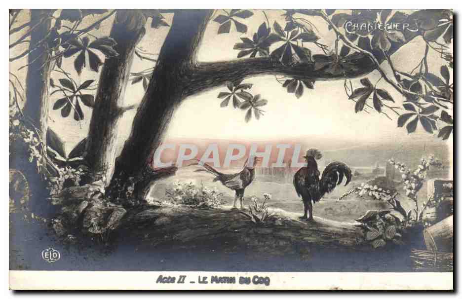 CPA Theatre Rostand Coq Chantecler Le matin du coq
