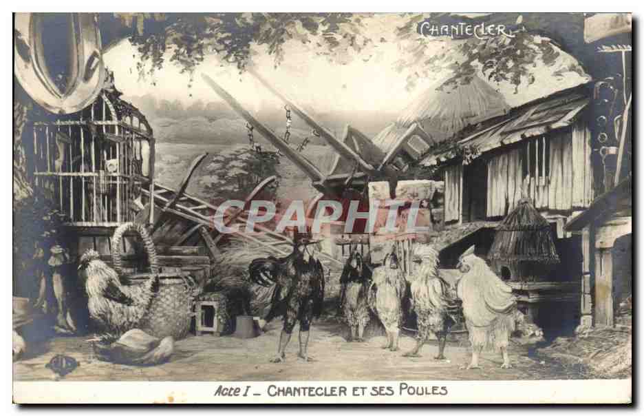 CPA Theatre Rostand Coq Chantecler et ses poules