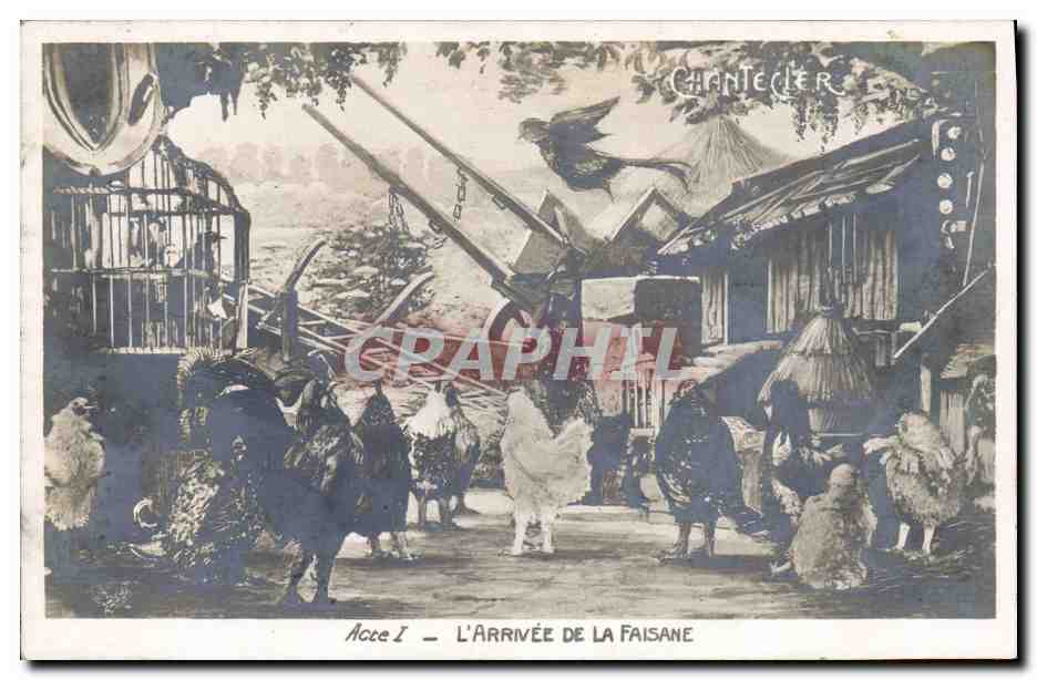 L'Arrivée de la Faisane — Acte I — Chantecler