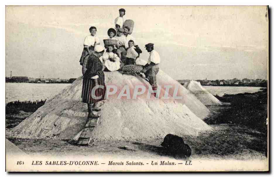 Les Sables-d'Olonne — Marais Salants — Un Mulan — LL