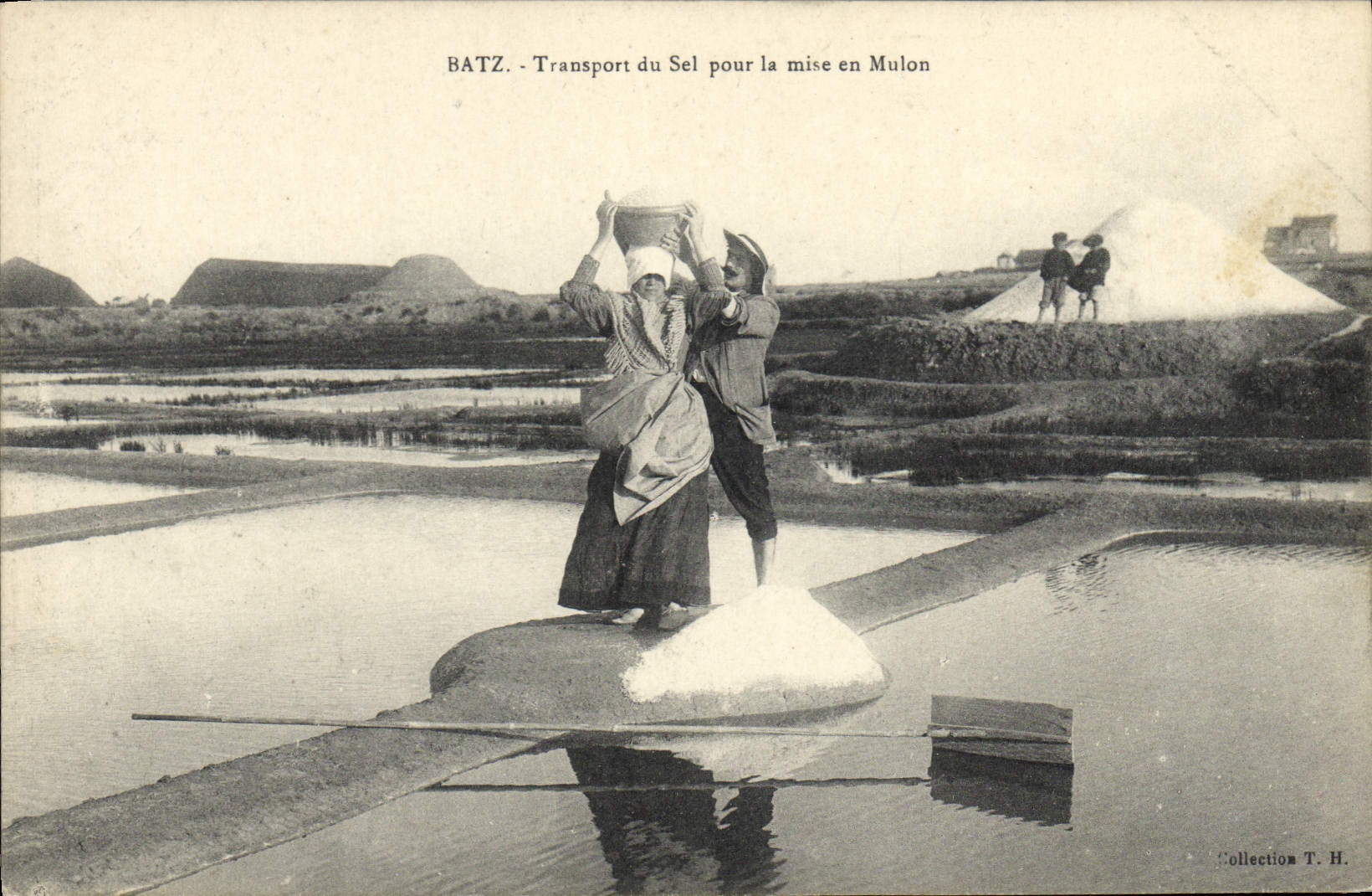 Batz - Transport du Sel pour la mise en Mulon — Collection T. H.