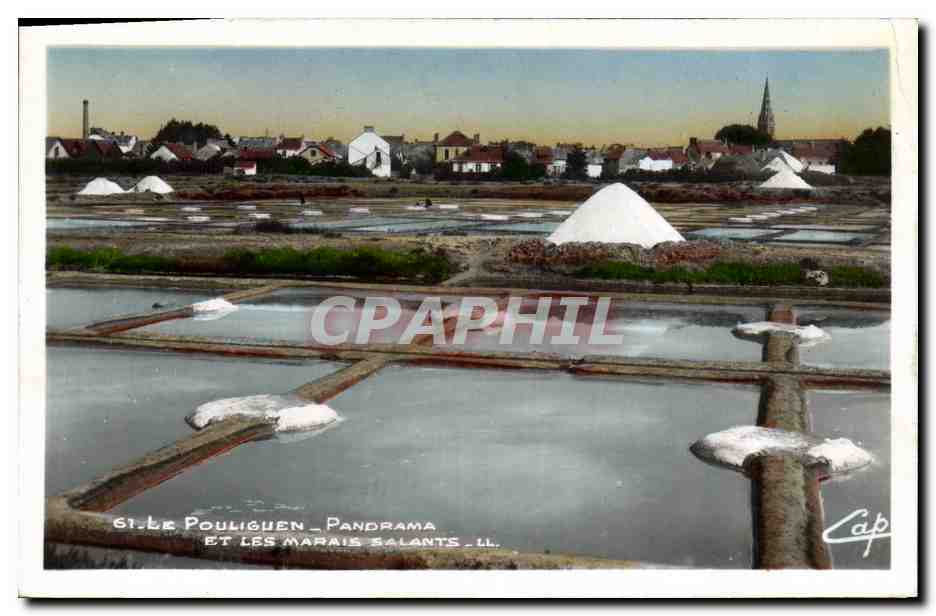 CPA Le Pouliguen Panorama et les Marais salants 