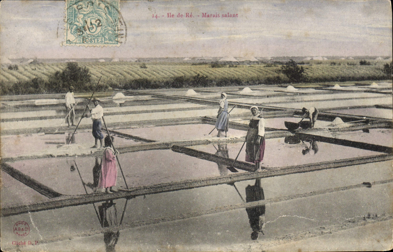 Ile de Ré - Marais salant — cliché D. P. — éditeur Clihété D. P.