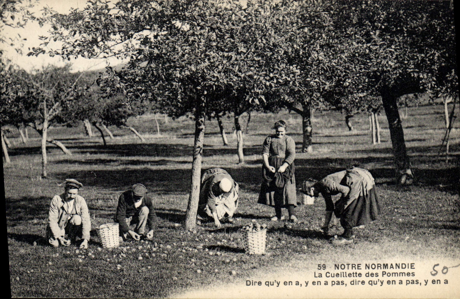 CPA Folklore Normandie La cueillette des pommes 