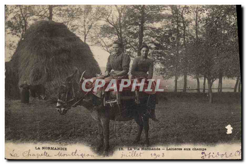 CPA Folklore Normandie La Vie Normande Laitieres aux champs Ane Mule