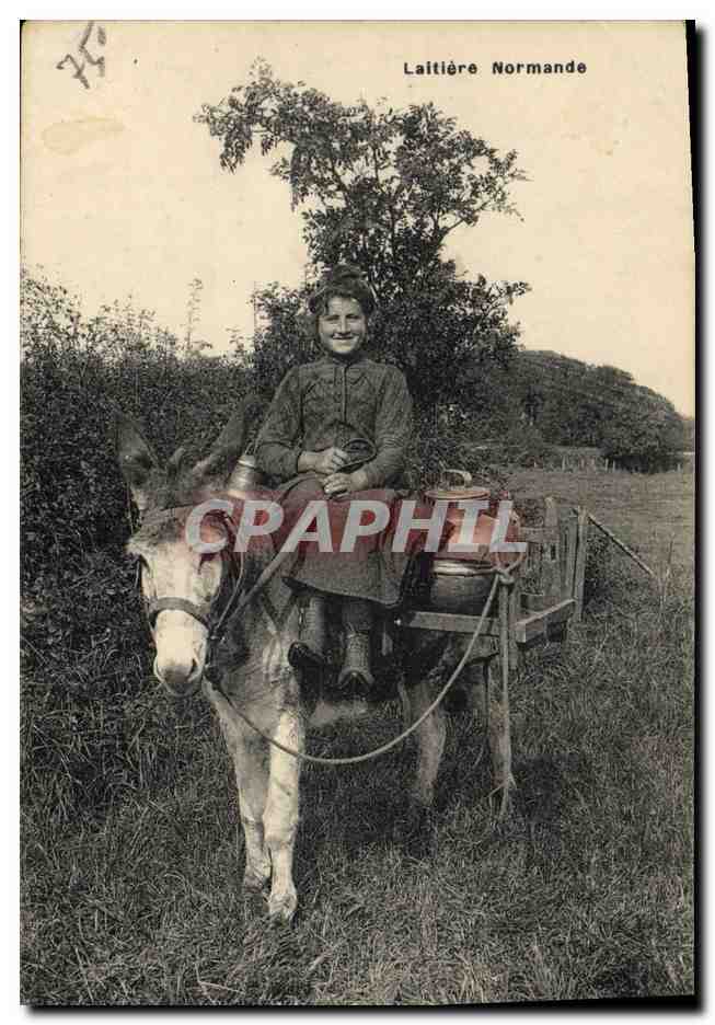 CPA Folklore Laitiere Normande Ane Mule 