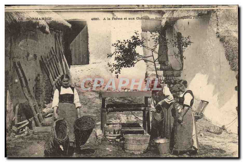 CPA Folklore Normandie A la ferme et aux champs 