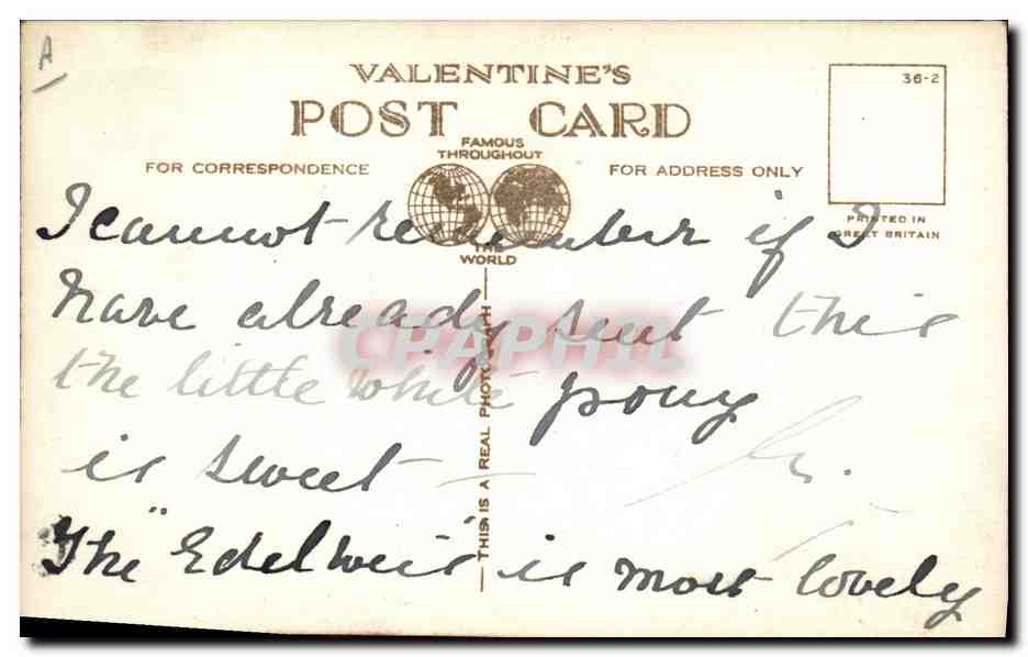 King George VI & Princess Elizabeth — en selle dans une forêt — Valentine's Postcard K.3 — Verso