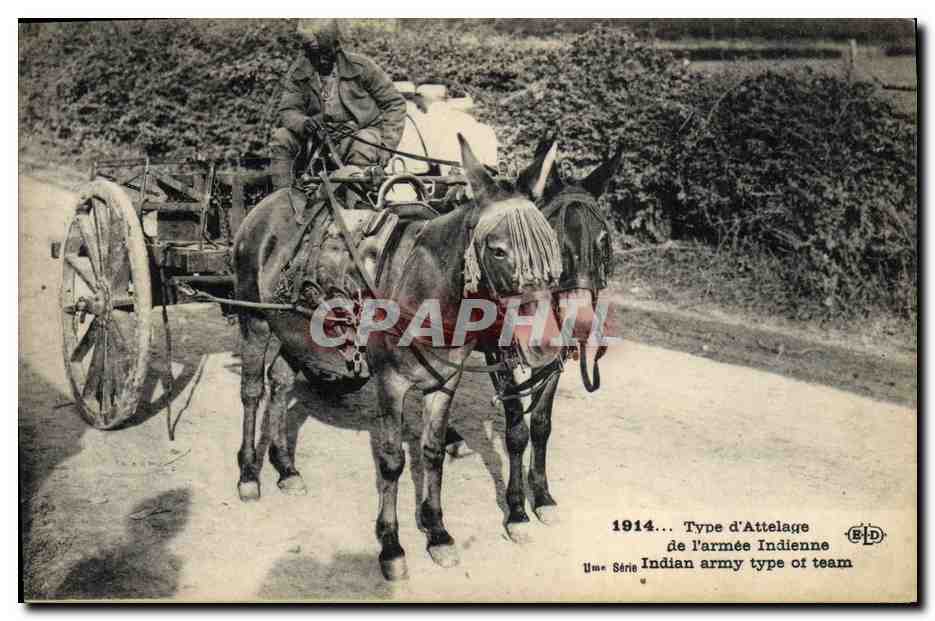 Attelage indien — 1914 — B&D